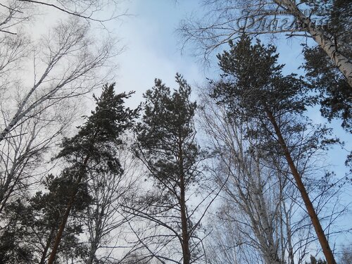 DSCN0118_r